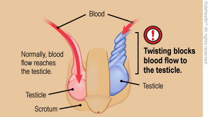 KidsHealth Image