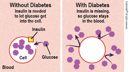 KidsHealth Image