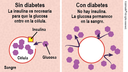 KidsHealth Image