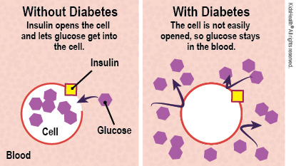 KidsHealth Image