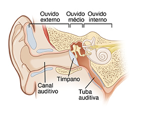 Imagem mostrando um corte transversal dos ouvidos externo, médio e interno, incluindo canal auditivo, tímpano e tuba auditiva.